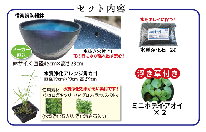 くうちゃん様 リクエスト 3点 まとめ商品　水草 鈴木が厳選！涼み水草4品種セット | 杜若園芸WEBショップ｜水草の生産