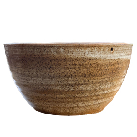 緑のじゅうたんビオトープキット - 信楽焼陶器鉢 | 杜若園芸WEB