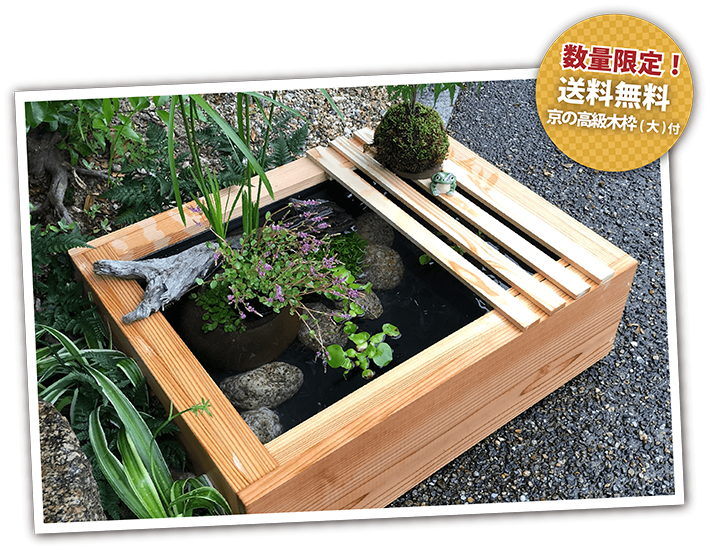 京の高級木枠（大）つき ビオトープコーディネートセット | 杜若園芸WEBショップ｜水草の生産販売【通販ショップ】