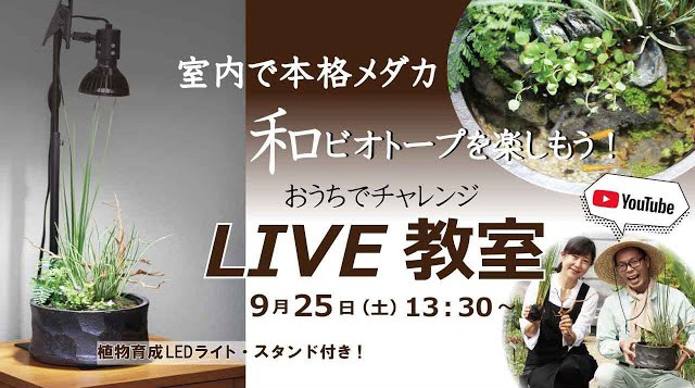 室内用本格メダカビオトープセット | 株式会社 杜若園芸｜水草の生産