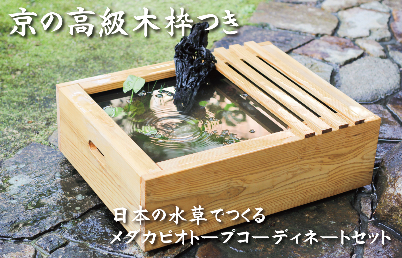 京の高級木枠　プラ舟ビオトープをグレードアップ！