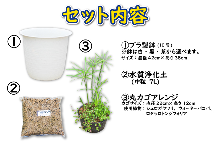 夏のメダカ飼育】深鉢ビオトープセット | 杜若園芸WEBショップ｜水草の生産販売【通販ショップ】