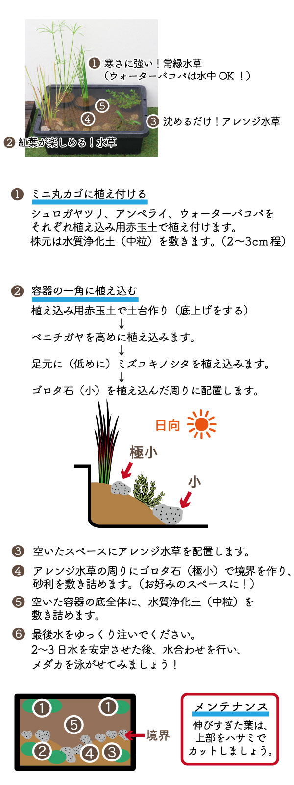 秋の衣替え メダカのDXビオトープセット | 杜若園芸WEBショップ｜水草