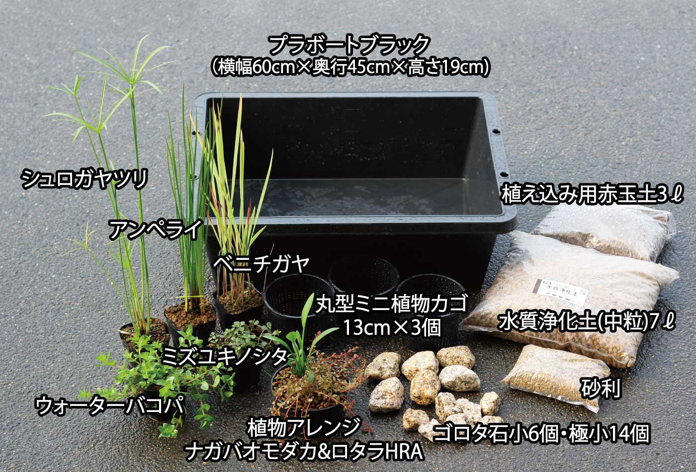 秋の衣替え メダカのDXビオトープセット | 杜若園芸WEBショップ｜水草の生産販売【通販ショップ】