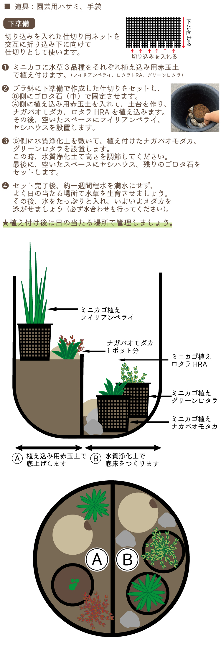 メダカの寒さ対策！ 冬ごもりビオトープセット | 杜若園芸WEBショップ｜水草の生産販売【通販ショップ】