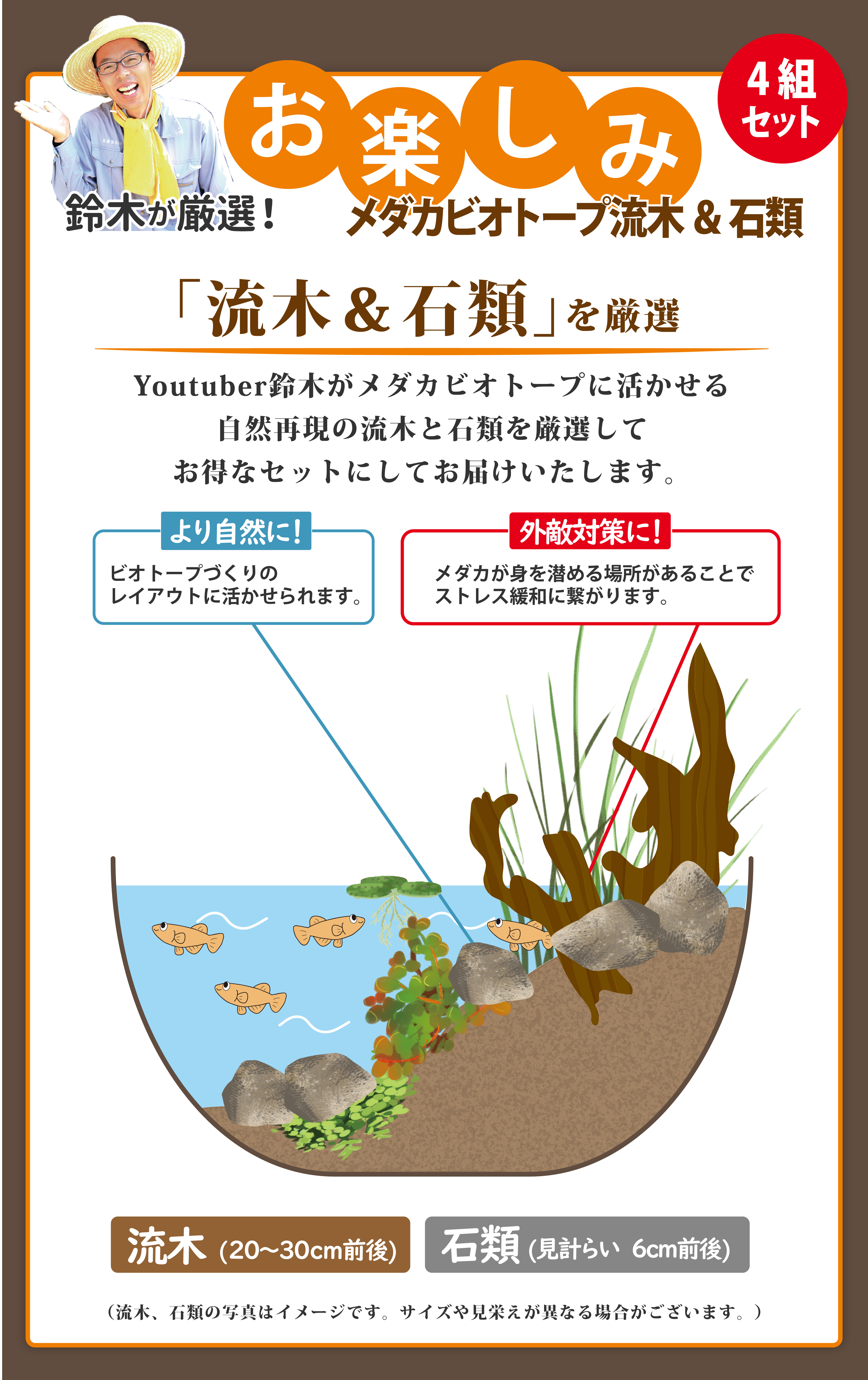 鈴木が厳選！お楽しみメダカビオトープ流木＆石類セット (見計らい