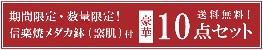 送料込み！豪華10点セット