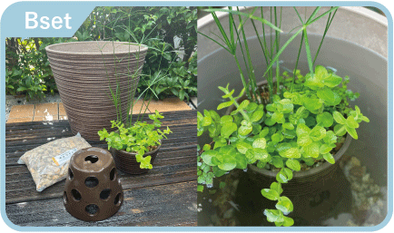 寄せ植えB
