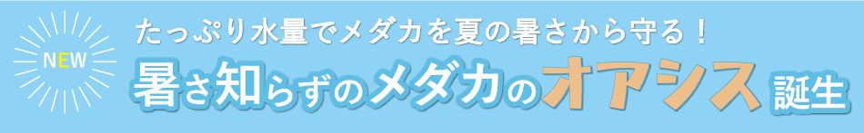 キャンペーン帯暑さしらずのメダカのオアシス誕生