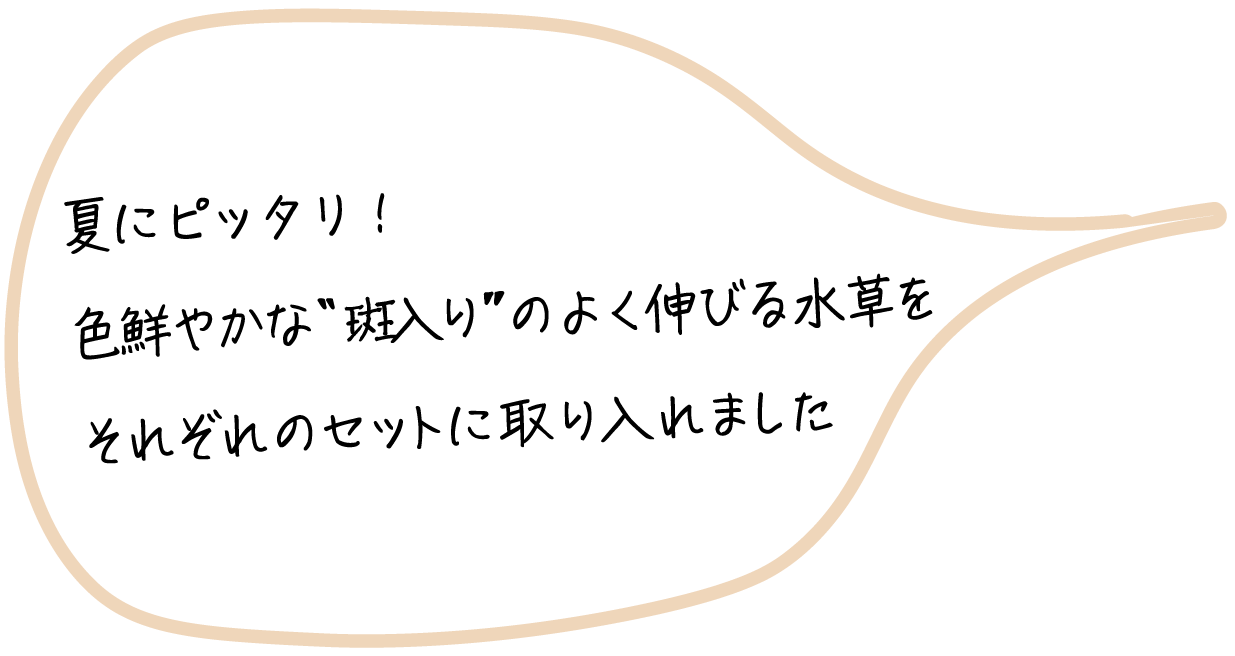 花ちゃん先生吹き出し