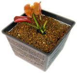 スイレン19cm角カゴ