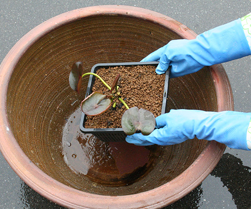 set-1201セッティングイメージ