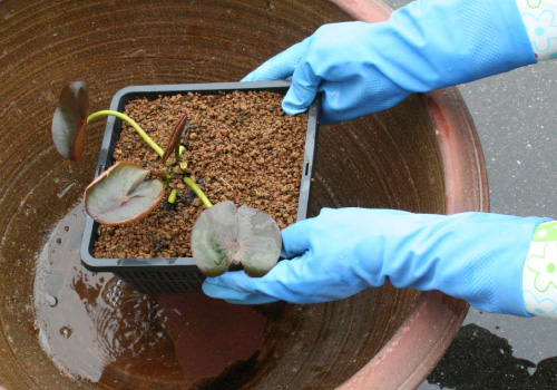 角カゴをセットする様子