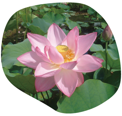 玖紅川台イメージ