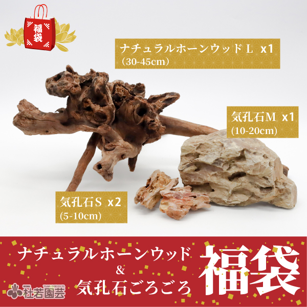 ナチュラルホーンウッド＆気孔石ごろごろ福袋