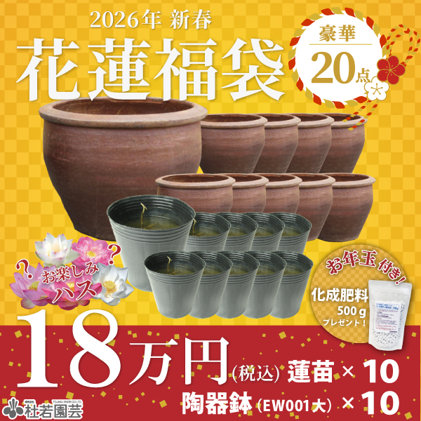 花蓮福袋豪華20点