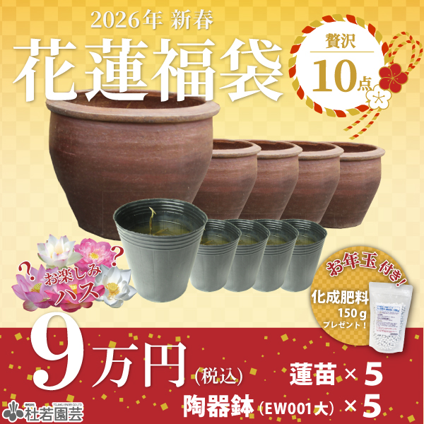 新春-花蓮福袋-贅沢10点