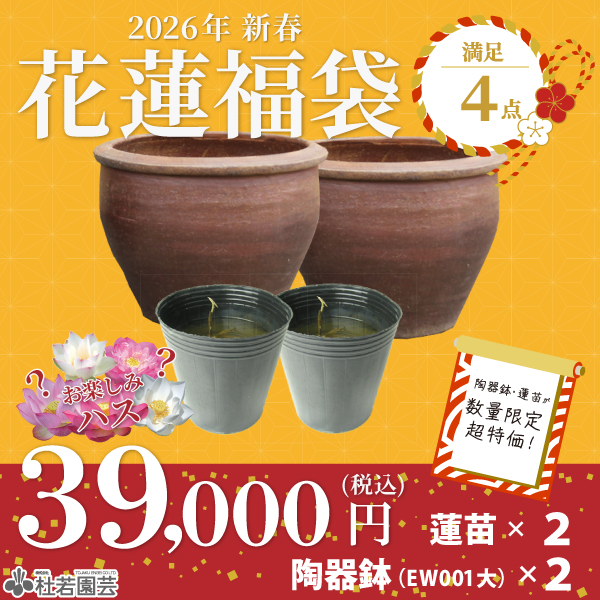 新春-花蓮福袋-満足4点