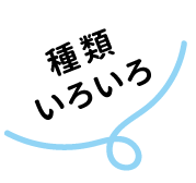 種類いろいろ