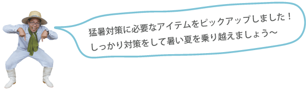 店長コメント