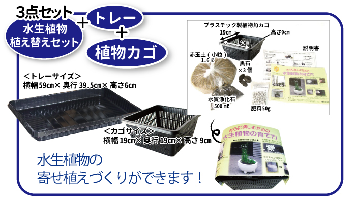 作業トレー＆水生植物植え替えセット