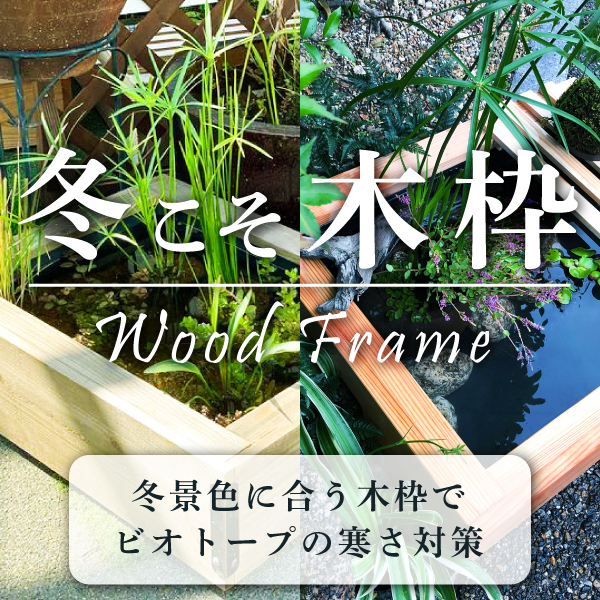 株式会社 杜若園芸｜水草の生産販売【通販ショップ】