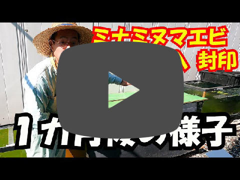 youtube�T���l�C��