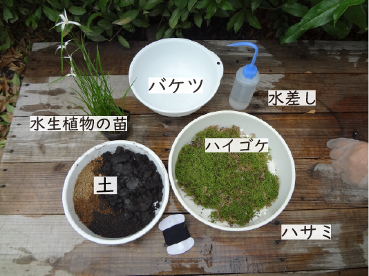 苔玉用ブレンド土1l 約2苗分 株式会社 杜若園芸 水草の生産販売 通販ショップ