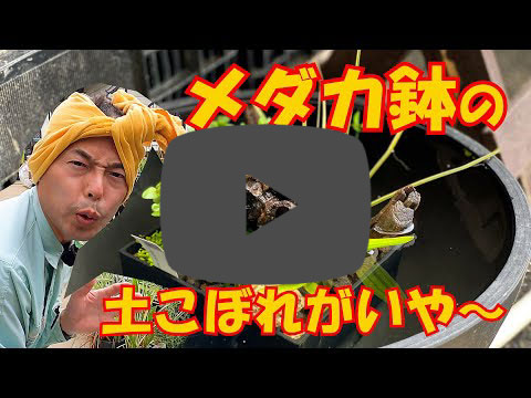 youtubeTlC