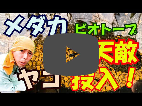 youtube20220708.jpg?d=