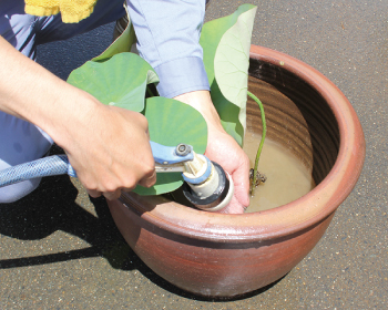 水を入れるだけ