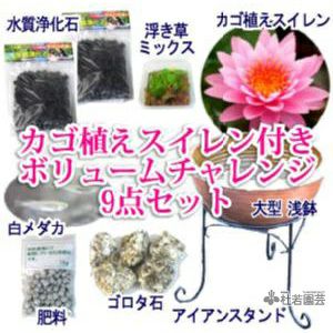 ボウフラ対策3点セット 株式会社 杜若園芸 水草の生産販売 通販ショップ