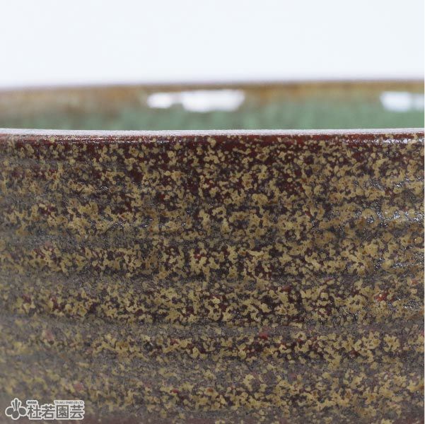 『なんでもうー特価』　龍峰　枯山水　大鉢 なんでもうー特価』 龍峰 枯山水 大鉢 なんでもうー特価』 龍峰