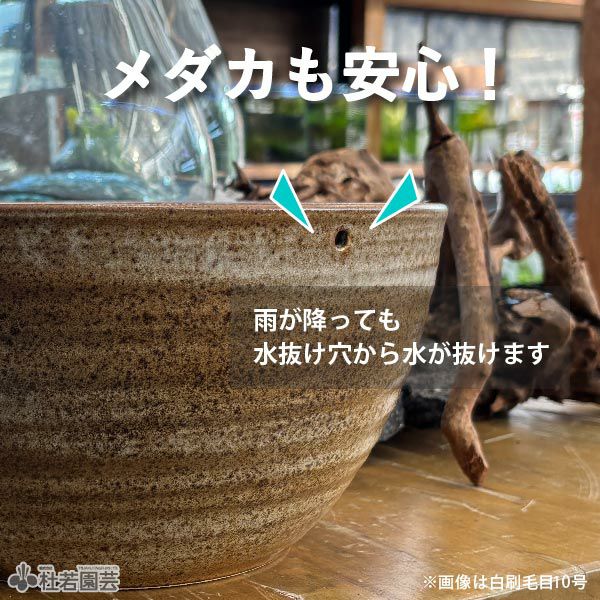 火鉢 メダカにおすすめ！メダカ鉢】 窯肌ひねりボウル水鉢10号 WN10-502