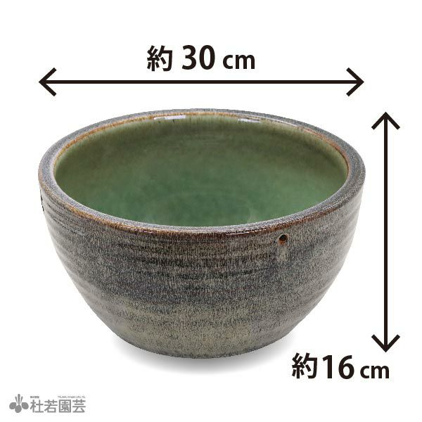 平造19（イラボ釉） | 杜若園芸WEBショップ｜水草の生産販売【通販