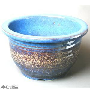 陶器鉢 | 杜若園芸WEBショップ｜水草の生産販売【通販ショップ】