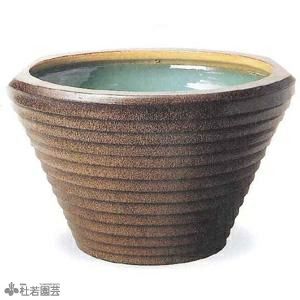 水鉢 陶器 プラ 睡蓮鉢 メダカ鉢 蓮鉢 通販 販売 株式会社 杜若園芸 水草の生産販売 通販ショップ 水鉢 陶器 プラ 睡蓮鉢 メダカ鉢 蓮鉢 通販 販売 株式会社 杜若園芸 水草の生産販売 通販ショップ