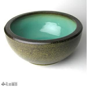 水鉢 陶器 プラ 睡蓮鉢 メダカ鉢 蓮鉢 通販 販売 株式会社 杜若園芸 水草の生産販売 通販ショップ 水鉢 陶器 プラ 睡蓮鉢 メダカ鉢 蓮鉢 通販 販売 株式会社 杜若園芸 水草の生産販売 通販ショップ