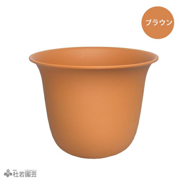 VALLEM 植木鉢 CATEGORY VALIEM鉢植込み | RISE-CAUDEX ONLINE STORE