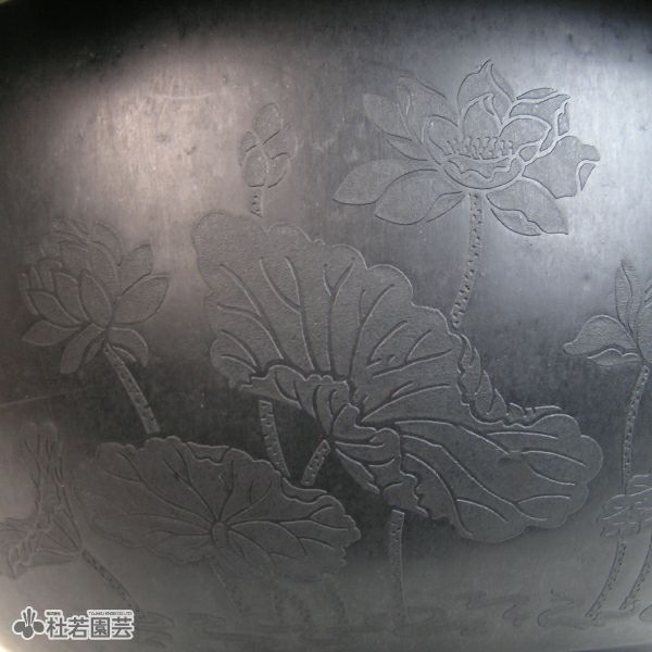 ハス絵柄入りプラ製水鉢LL | 杜若園芸WEBショップ｜水草の生産販売