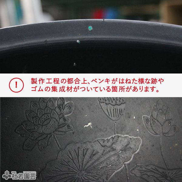 ハス絵柄入りプラ製水鉢LL | 杜若園芸WEBショップ｜水草の生産販売