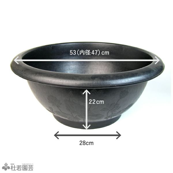 000000000826-02-l.jpg?t=