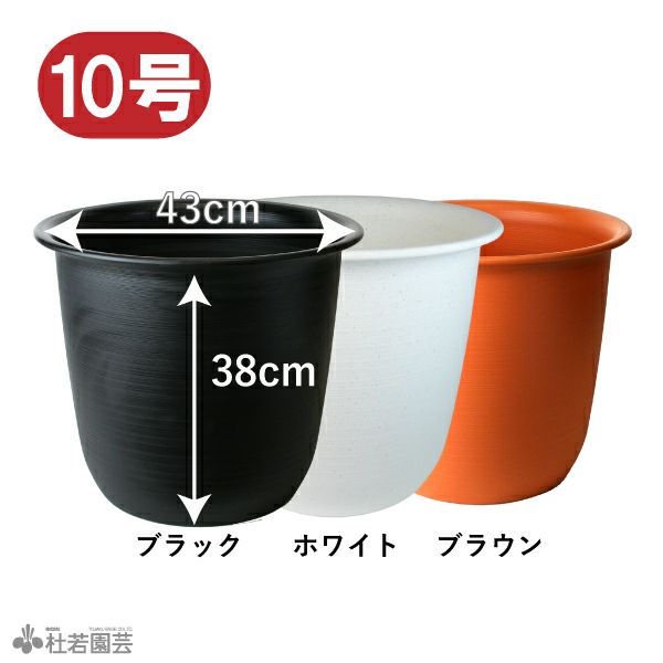 ハス 蓮 用 大型プラ鉢 10号 株式会社 杜若園芸 水草の生産販売 通販ショップ