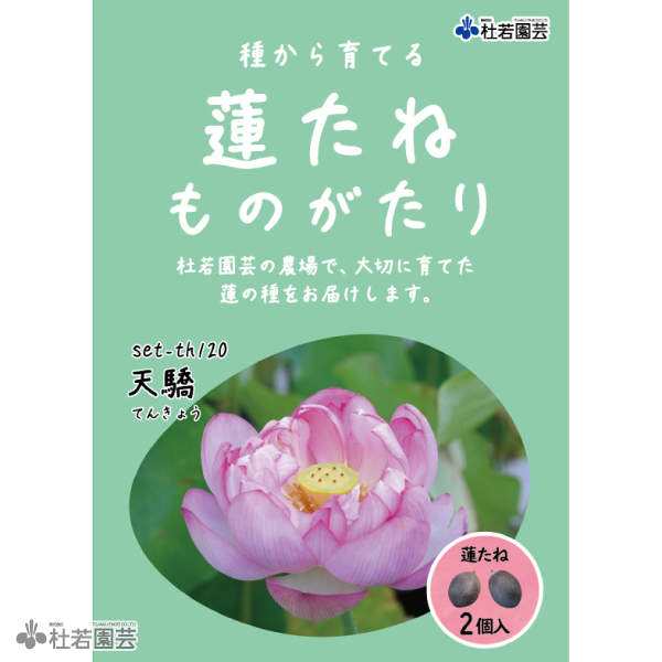 天驕（てんきょう）