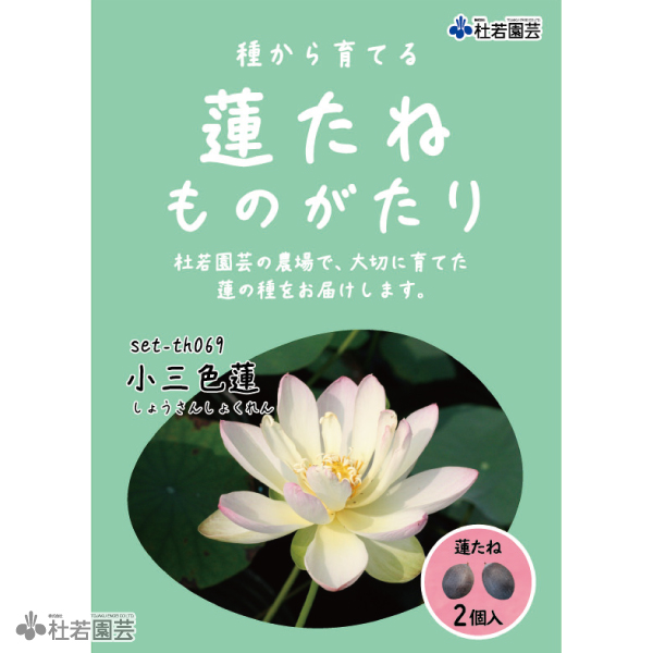 小三色蓮（しょうさんしょくれん）
