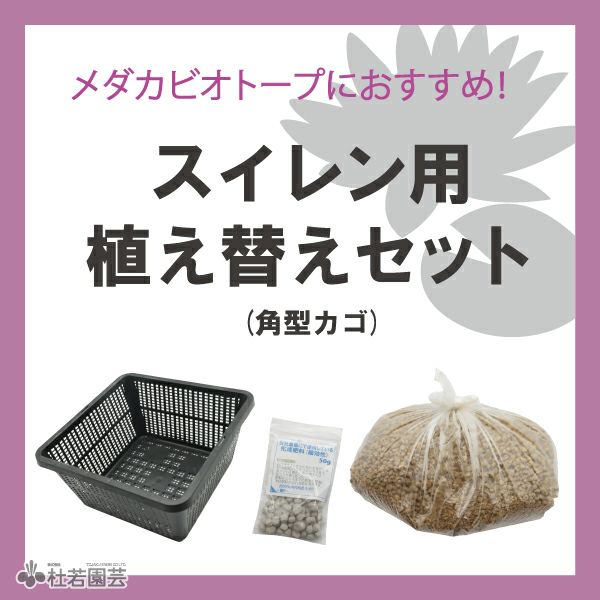 メダカビオトープにおすすめ スイレン用植え替えセット 角型カゴ 株式会社 杜若園芸 水草の生産販売 通販ショップ