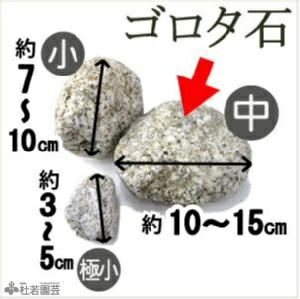 メダカの隠れ場所におすすめ メダカの隠れ家 株式会社 杜若園芸 水草の生産販売 通販ショップ