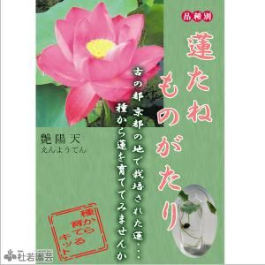 5袋までメール便対応】蓮たねものがたり-艶陽天（えんようてん）【中型