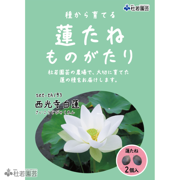 蓮の花をモデルにネアリカで作りました。 5袋までメール便対応】蓮たねものがたり-中日友誼蓮（ちゅうにちゆうぎ