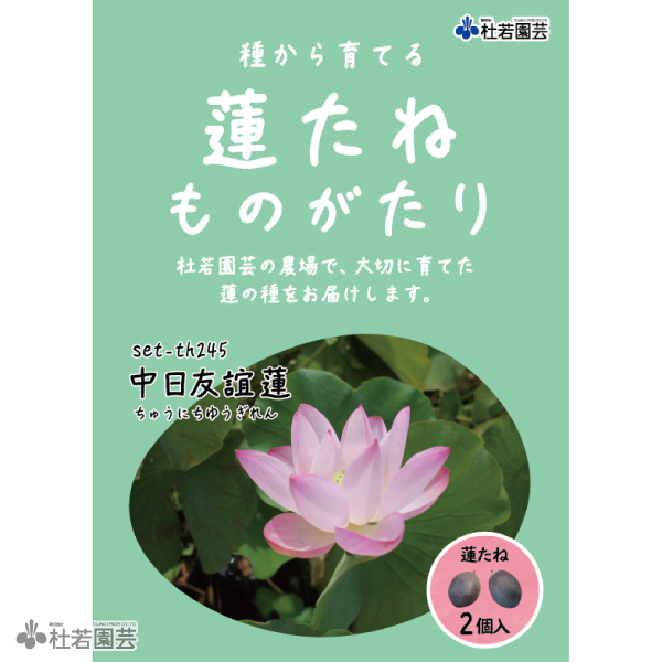 5袋までメール便対応】蓮たねものがたり-中日友誼蓮（ちゅうにちゆうぎ